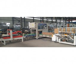 魯泰機(jī)械自動(dòng)裝箱系統(tǒng)