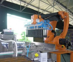 機(jī)器人裝箱機(jī)