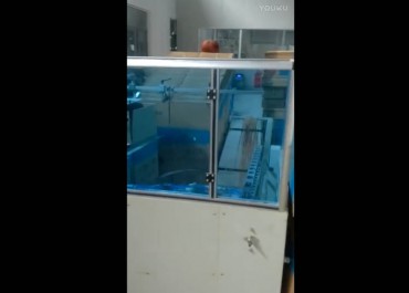 自動(dòng)開箱封箱裝箱